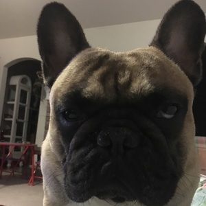 Meet your Posher, Jason